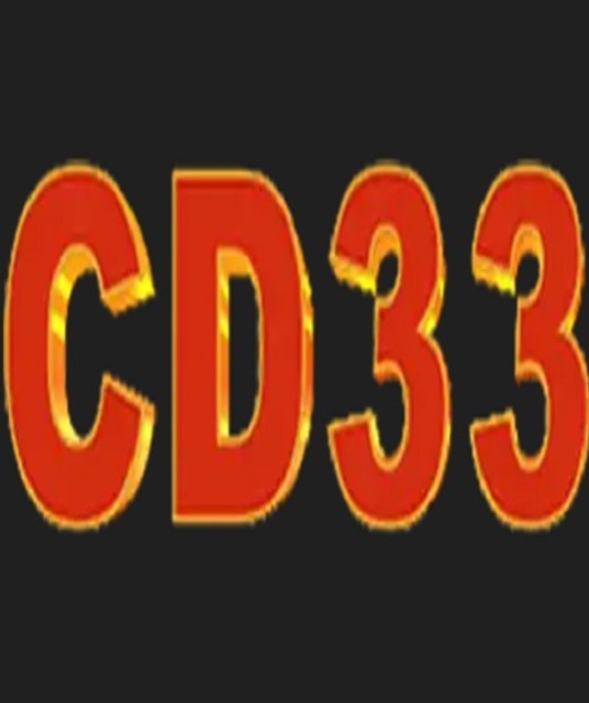 avatar playcd33